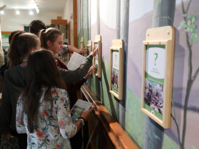 0, 0, 0, 0, 0, 0, 0, 0, 0, 0, 0, 0, 0, 0, 0, 0, 0, 0, 0, 0, 0, 0, 0, 0, 0, 0, 0, 0, 0, 0, 0, 0, 0, 0, 0, 0, 0, 0, 0, 0, 0, 0, 0, 0, 0, 0, 0, 0, 0, 0, 0, 0, 0, 0, 0, 0, 0, 0, 0, 0, 0, 0, 0, 0, 0, 0, 0, 0, 0, 0, 0, 0, 0, 0, 0, 0, 0, 0, 0, 0, 0, 0, 0, 0, 0, 0, 0, 0, 0, 0, 0, 0, 0, 0, 0, 0, 0, 0, 0, 0, 