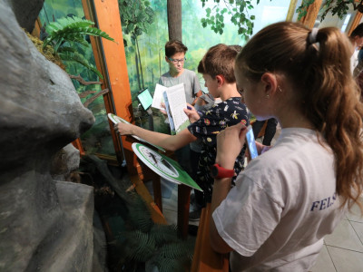 0, 0, 0, 0, 0, 0, 0, 0, 0, 0, 0, 0, 0, 0, 0, 0, 0, 0, 0, 0, 0, 0, 0, 0, 0, 0, 0, 0, 0, 0, 0, 0, 0, 0, 0, 0, 0, 0, 0, 0, 0, 0, 0, 0, 0, 0, 0, 0, 0, 0, 0, 0, 0, 0, 0, 0, 0, 0, 0, 0, 0, 0, 0, 0, 0, 0, 0, 0, 0, 0, 0, 0, 0, 0, 0, 0, 0, 0, 0, 0, 0, 0, 0, 0, 0, 0, 0, 0, 0, 0, 0, 0, 0, 0, 0, 0, 0, 0, 0, 0, 