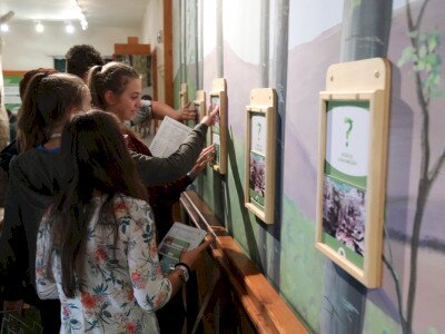 0, 0, 0, 0, 0, 0, 0, 0, 0, 0, 0, 0, 0, 0, 0, 0, 0, 0, 0, 0, 0, 0, 0, 0, 0, 0, 0, 0, 0, 0, 0, 0, 0, 0, 0, 0, 0, 0, 0, 0, 0, 0, 0, 0, 0, 0, 0, 0, 0, 0, 0, 0, 0, 0, 0, 0, 0, 0, 0, 0, 0, 0, 0, 0, 0, 0, 0, 0, 0, 0, 0, 0, 0, 0, 0, 0, 0, 0, 0, 0, 0, 0, 0, 0, 0, 0, 0, 0, 0, 0, 0, 0, 0, 0, 0, 0, 0, 0, 0, 0, 