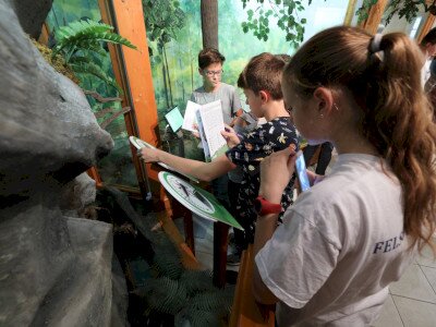 0, 0, 0, 0, 0, 0, 0, 0, 0, 0, 0, 0, 0, 0, 0, 0, 0, 0, 0, 0, 0, 0, 0, 0, 0, 0, 0, 0, 0, 0, 0, 0, 0, 0, 0, 0, 0, 0, 0, 0, 0, 0, 0, 0, 0, 0, 0, 0, 0, 0, 0, 0, 0, 0, 0, 0, 0, 0, 0, 0, 0, 0, 0, 0, 0, 0, 0, 0, 0, 0, 0, 0, 0, 0, 0, 0, 0, 0, 0, 0, 0, 0, 0, 0, 0, 0, 0, 0, 0, 0, 0, 0, 0, 0, 0, 0, 0, 0, 0, 0, 