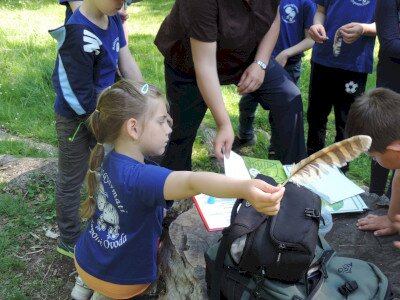                                                                                                                                 