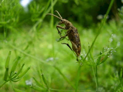                                                                                                                              