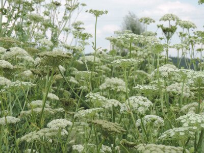                                                                                                                                 