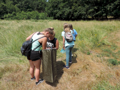                                                                                                                                 