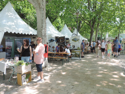                                                                                                                                 