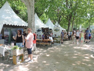                                                                                                                                 