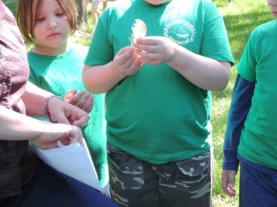                                                                                                                                 