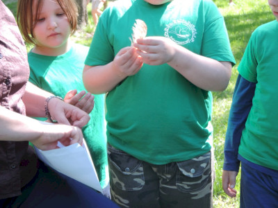                                                                                                                                 