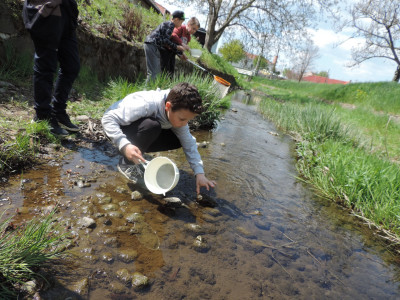                                                                                                                                 