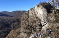 bükki nemzeti park, bükki nemzeti park igazgatóság, transzbükki átkelés, szakvezetés, bükk, túra, természetvédelem