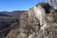 bükki nemzeti park, bükki nemzeti park igazgatóság, transzbükki átkelés, szakvezetés, bükk, túra, természetvédelem