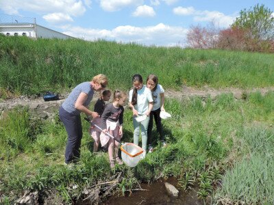                                                                                                                                 