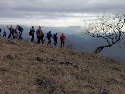 IMG_20250125_133521