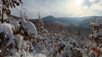 16. Transzbükki Átkelés - 12. Erőss Zsolt Emléktúra
