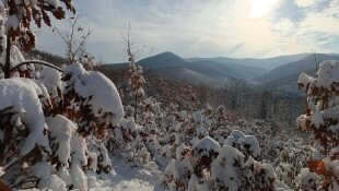 16. Transzbükki Átkelés - 12. Erőss Zsolt Emléktúra
