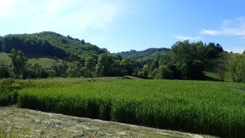 17. RÉPÁS VALLEY EDUCATIONAL TRAIL