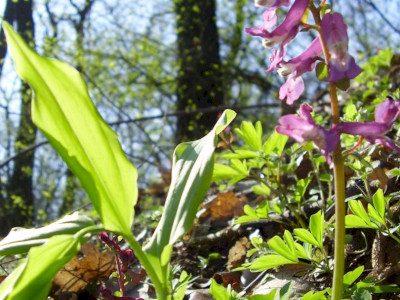                                                                                                                              