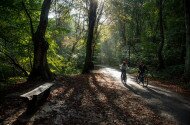 Vezetett e-bike túrák a Szeleta Parkból