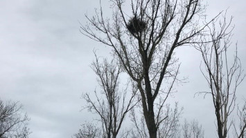 2023/1 6. Eagle’s eggs inventory