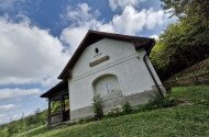„A Tanár Úr újra nálunk” – Madárgyűrűzés a Szitakötő-kutatóháznál a Miskolci Herman Ottó Gimnázium közreműködésével