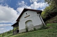 „A Tanár Úr újra nálunk” – Madárgyűrűzés a Szitakötő-kutatóháznál a Miskolci Herman Ottó Gimnázium közreműködésével
