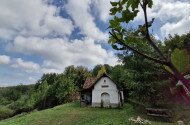 Tavaszköszöntő madárgyűrűzés a Szitakötő háznál