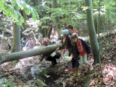                                                                                                                                 