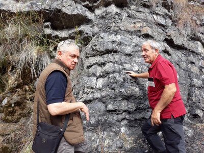 �������������