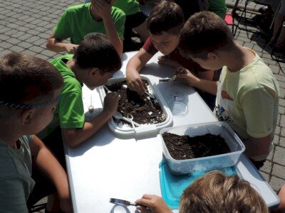                                                                                                                                 