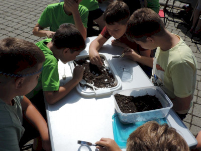                                                                                                                                 