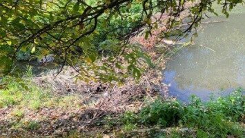 2 Unterwegs mit Ranger / Our experiences with the rangers