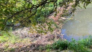 2 Unterwegs mit Ranger / ​Our experiences  with the rangers