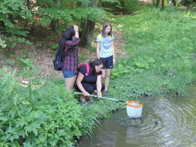                                                                                                                                 