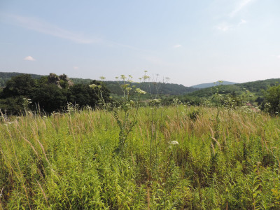 ��������                                                                                                                       �