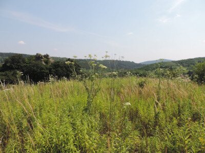                                                                                                                                 