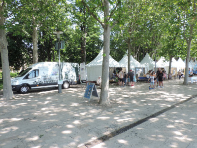                                                                                                                                 