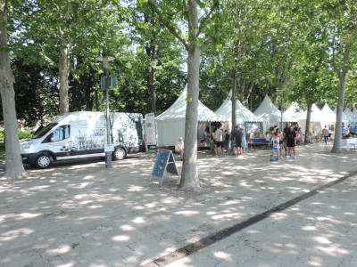                                                                                                                                 