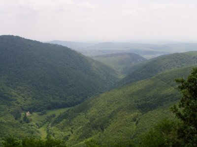                                                                                                                              