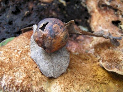                                                                                                                              