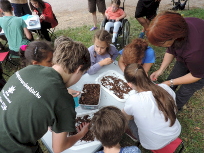                                                                                                                                 