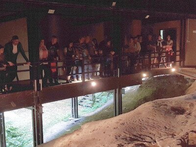              