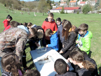                                                                                                                                 