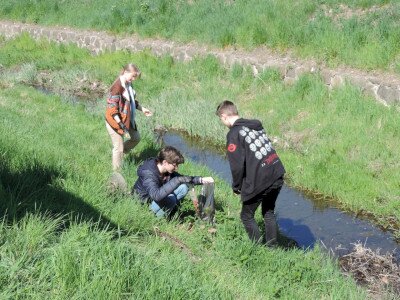                                                                                                                                 