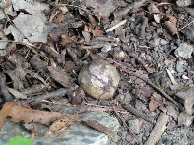                                                                                                                              