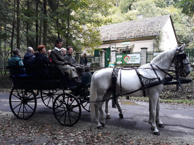 �������������