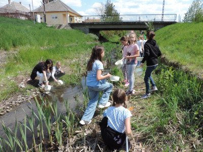                                                                                                                                 