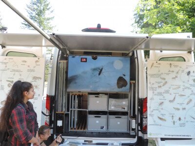                                                                                                                                 