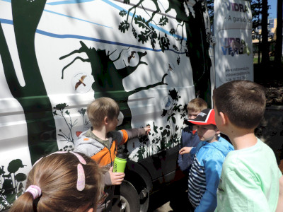                                                                                                                                 