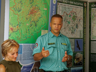                                                                 