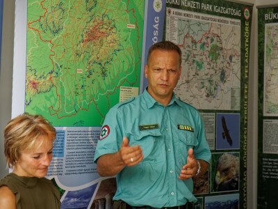                                                                 